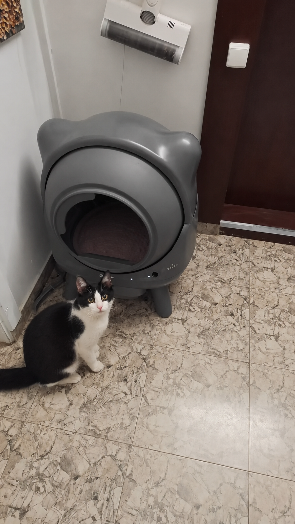 Ciko