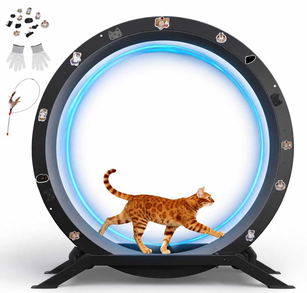 Kattenloopwiel